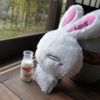 おかたけ楽々 (@okatakeraku) Twitter profile photo