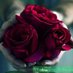 Ali (@ali49162508) Twitter profile photo Ali (@ali49162508) Twitter profile photo