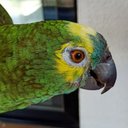 Joan Coronado - @J_Coronado_R - Twitter