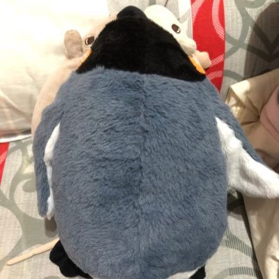 IWAKAMI 鈴さんのプロフィール画像