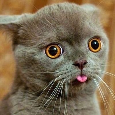 JTMHank's profile picture. 