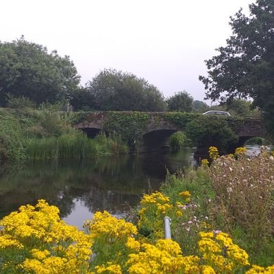 William54469872's profile picture. 