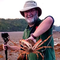 Tim Ferrero (@psammonaut) 's Twitter Profile Photo Tim Ferrero (@psammonaut) 's Twitter Profile Photo