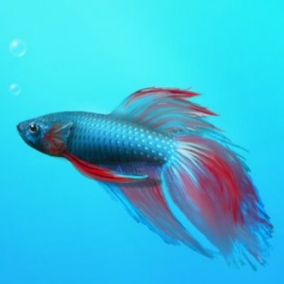 nationalnal's profile picture. P,平沢ファンなGN会員