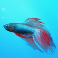 ナショナルナル (@nationalnal) Twitter profile photo