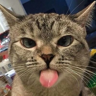 iniakunaakuu's profile picture. Kamu ga akan berjuang sampai sejauh ini, hanya untuk berhenti.