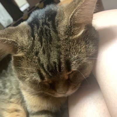 にーなさんのプロフィール画像