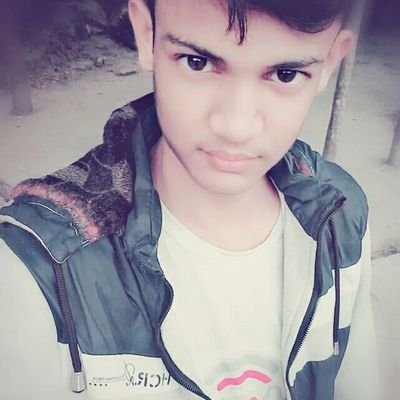 HabibKh43261696's profile picture. 