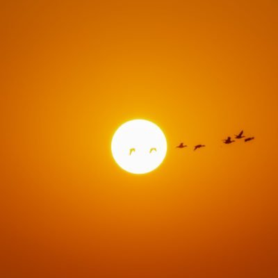 smile2baskar's profile picture. 