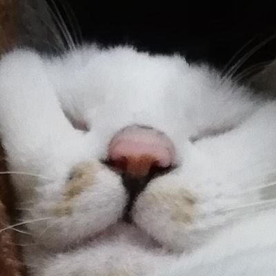 kanahei101 Profile Picture