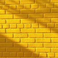 Baykuş Bilgici (@baykus_bilgi) Twitter profile photo