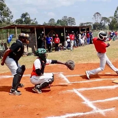 The Federation was founded in 1997, registered by Registrar of Societies in 2002 as a non-governmental organization. It is affiliated to WBSC and ABSA