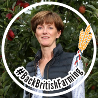 Alison Capper (@alicapper) 's Twitter Profile