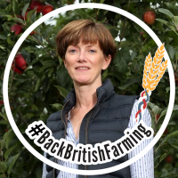 Alison Capper(@AliCapper) 's Twitter Profile Photo