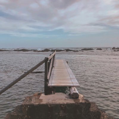 pipitech3892's profile picture. ウェジちゃんの事を考えると辛い壁打ちアカウント