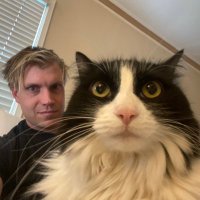 Jeremy Collins (@jollins) 's Twitter Profile