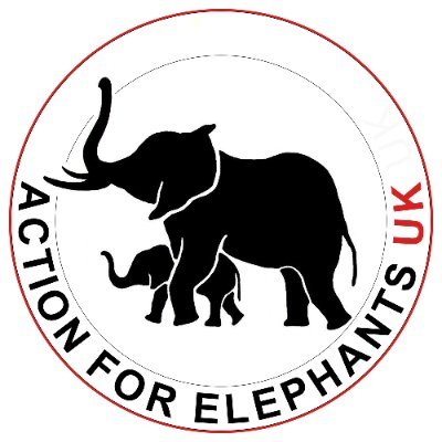 Advocating for the survival of elephants. Campaigns against the abuse inflicted on Asian elephants used in tourism and festivals.  https://t.co/N6xHF1uDYv