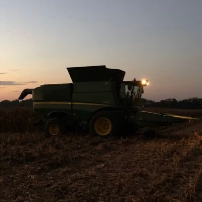 bschor98's profile picture. 