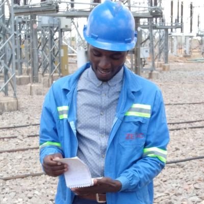 BSc Electrical Engineering (UZ), 
Director of ConviEle PoSo Pvt Ltd, 
Meter audit Engineer at ZETDC