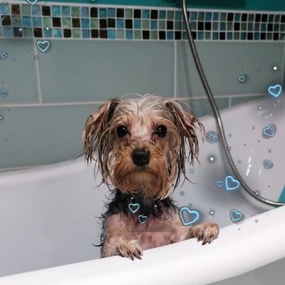 ILammond's profile picture. 