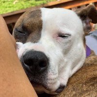 Annette Entin (@aentin4) 's Twitter Profile