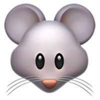 Daniel the MouseInTheCourt(@MouseInTheCourt) 's Twitter Profile Photo