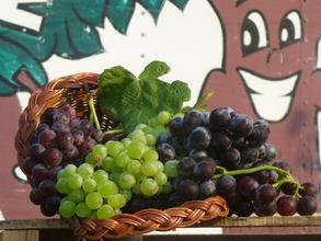 reidsorchard's profile picture. 