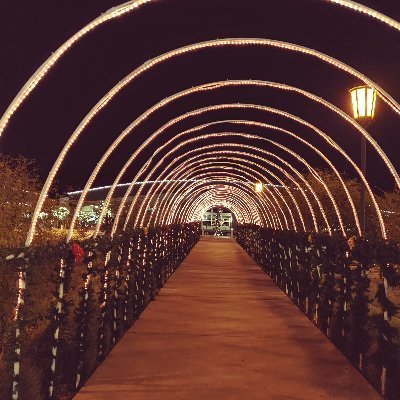 johnston_herb's profile picture. 