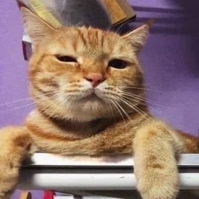 IzzetAhiskali's profile picture. 😎 İstanbul'un sefiri, Gülendam'ın esiri. ☺️
(Hanım arkadaşlar lütfen mesaj atmasın.)