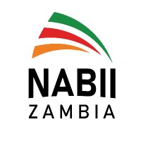 Zambian NAB(@NAB_Zambia) 's Twitter Profile Photo