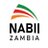 NAB_Zambia's profile image