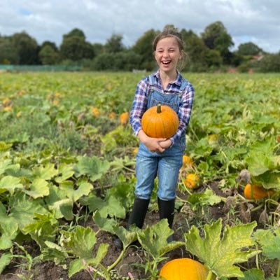 Fabulous pick your own pumpkin patch located in Dunham Massey near to #Altrincham. Getting ready for pumpkin season !