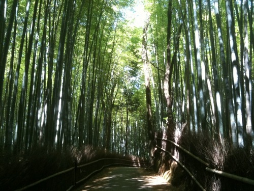 kyotosaganowalk's profile picture. We are a group of Japanese professional tour guides. We are Kyotoites living as residents, housewives and mothers as well.