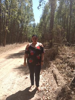 Carolai32954785's profile picture. jeij