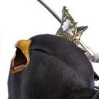 FFXIV Struggle Tweets(@ffxivstruggle) 's Twitter Profile Photo