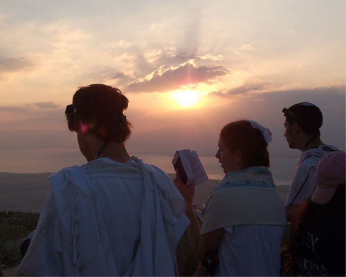 Spend your summer with USY for a complete introduction to the land of Israel. You'll be exposed to the history and contemporary realities of Judaism and Israel.