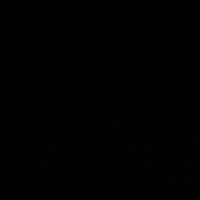 Berna (@1bernauysal) 's Twitter Profile