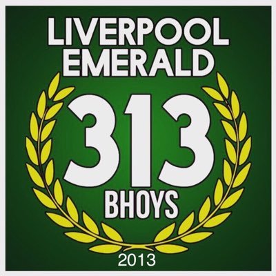 313bhoys Profile Picture