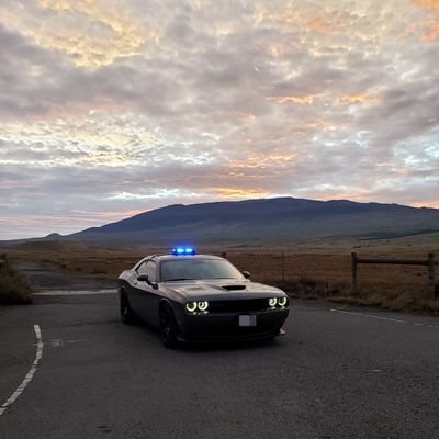 Popo2556's profile picture. 🇺🇲Trump/Vance 2024 🇺🇲