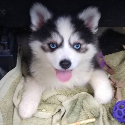 Wy_att_me's profile picture. 