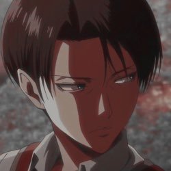 levi twitter