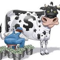 Milking your bookie dry everyday. Since 9/7/20 (836-690-11) +88.16🐮....🐮=units