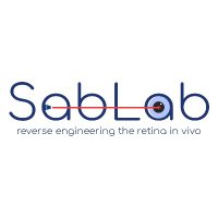 RamSabesan (@sabesanlab) 's Twitter Profile