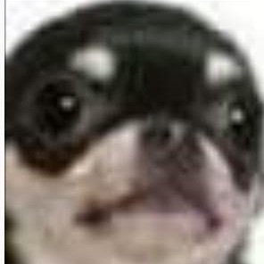 gay_aquarius's profile picture. 23 years old | retweet account