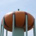 Sporting Pumpkin (@sportingpumpkin) Twitter profile photo Sporting Pumpkin (@sportingpumpkin) Twitter profile photo
