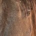 ChevalGal (@cheval_gal) Twitter profile photo ChevalGal (@cheval_gal) Twitter profile photo