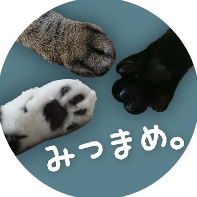 6匹猫の里親になった下僕おかんです。4匹を看取り現在2匹と。猫は液体派。
猫のアニキと認知症▷ https://t.co/7x7kHXlUar
五男スタンプ▷ https://t.co/sGa4BEpEpr
五男グッズ▷SUZURI
https://t.co/0QgXZ8fVYi