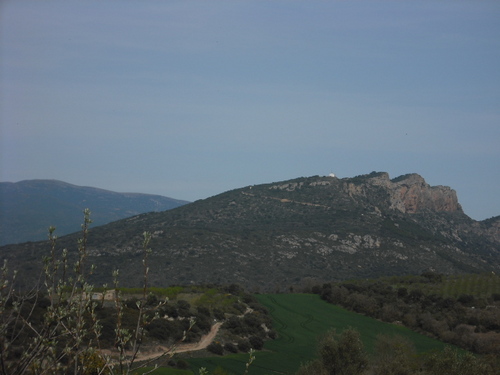 litera4's profile picture. 