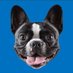 StellaTheFrenchie (@stellathebebe) Twitter profile photo StellaTheFrenchie (@stellathebebe) Twitter profile photo