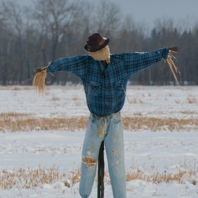 CFMA-nominated singer/songwriter/producer living & working in SK. New album Back to the Moon nominated for 2022 SMA Roots/Folk Album of the Year. https://t.co/sZ0cG8NxyE